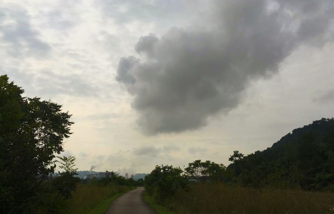 A wood-lined path on a cloudy day with clouds of pollution on the horizon