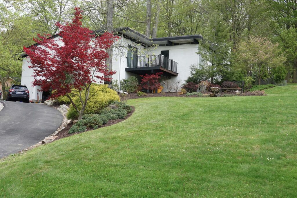 A white house, red tree, and green lawn.